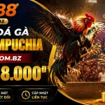 sv88-livecasino-banner-1