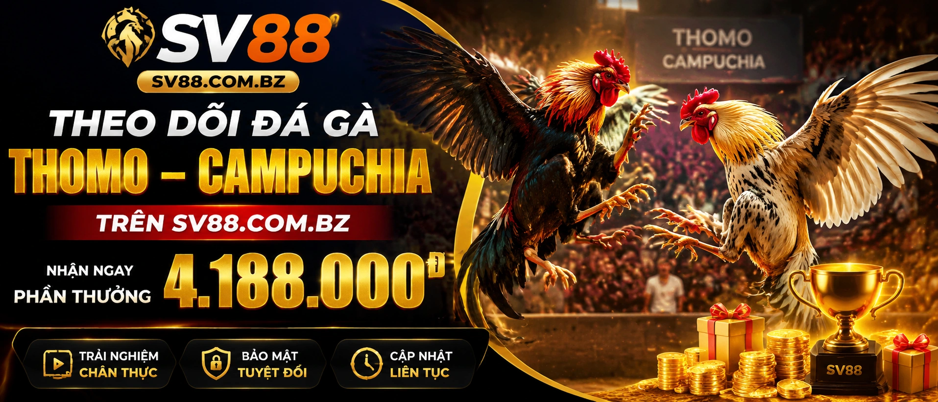 Live Casino