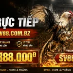 sv88-livecasino-banner-2