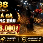 sv88-livecasino-banner-3