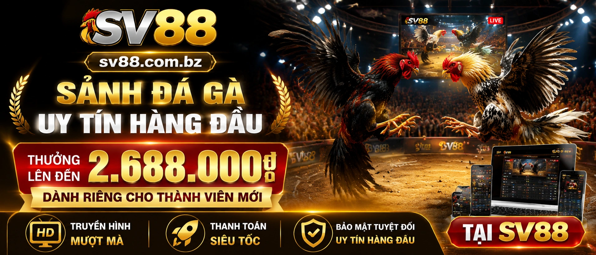 Dragon Tiger live popular